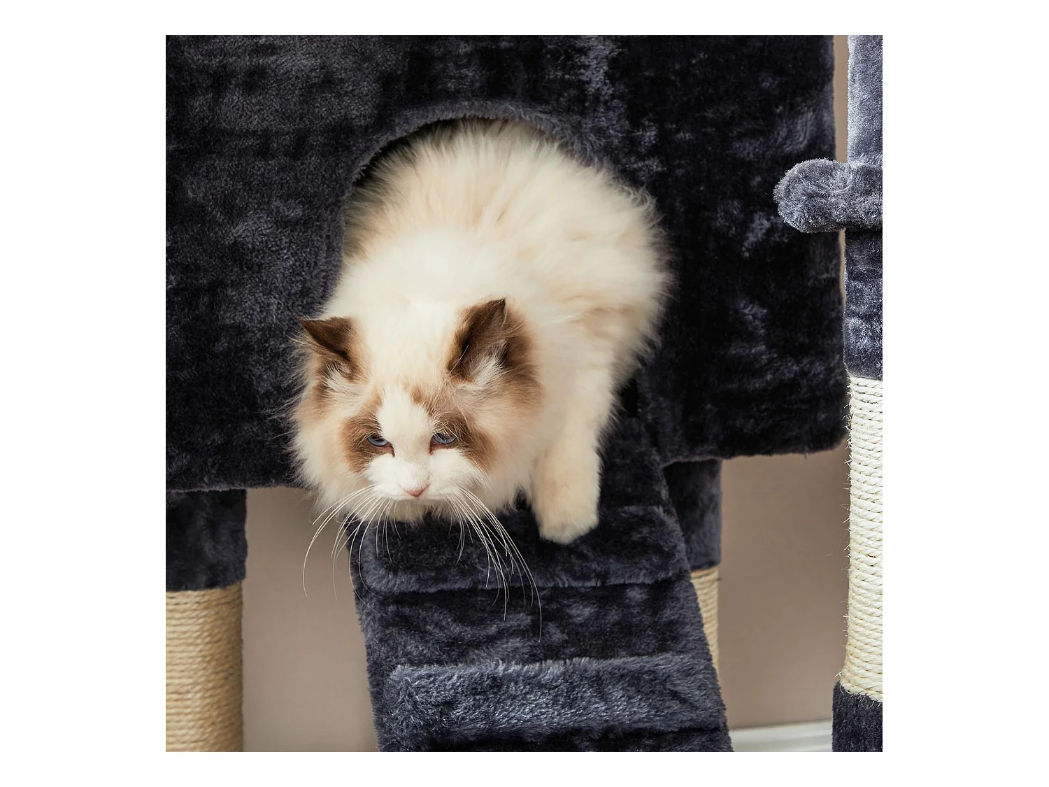 Kratzbaum Garden City