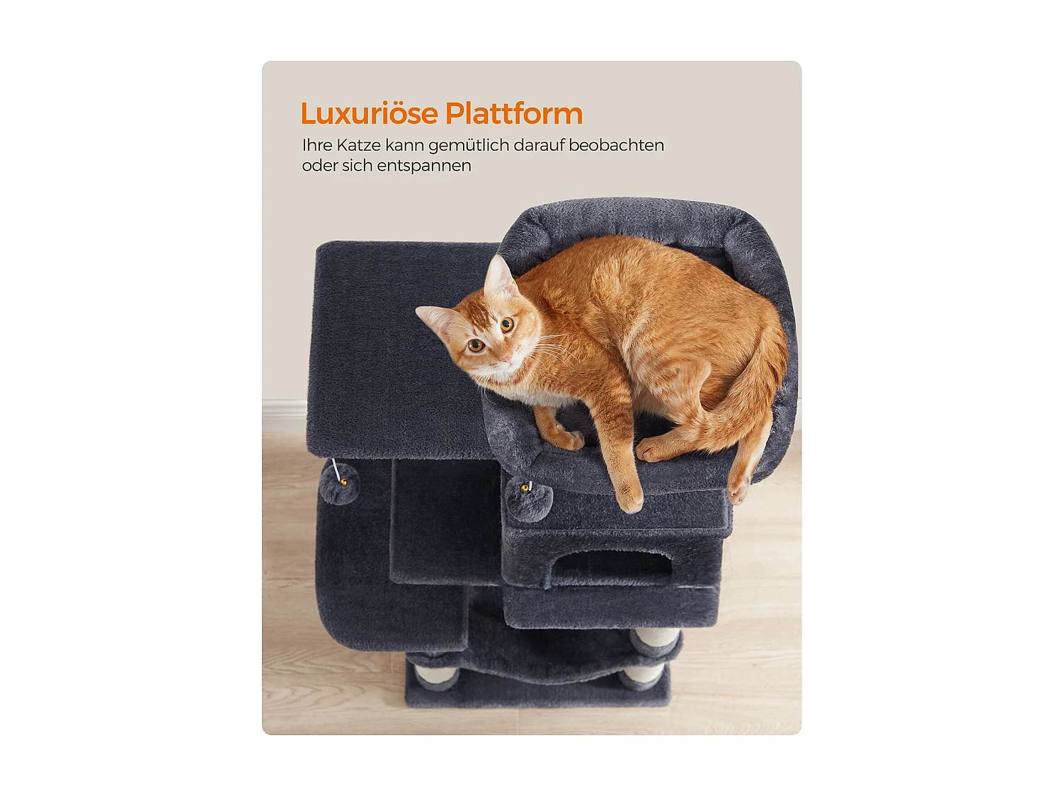 Katzenbaum Neunkirchen