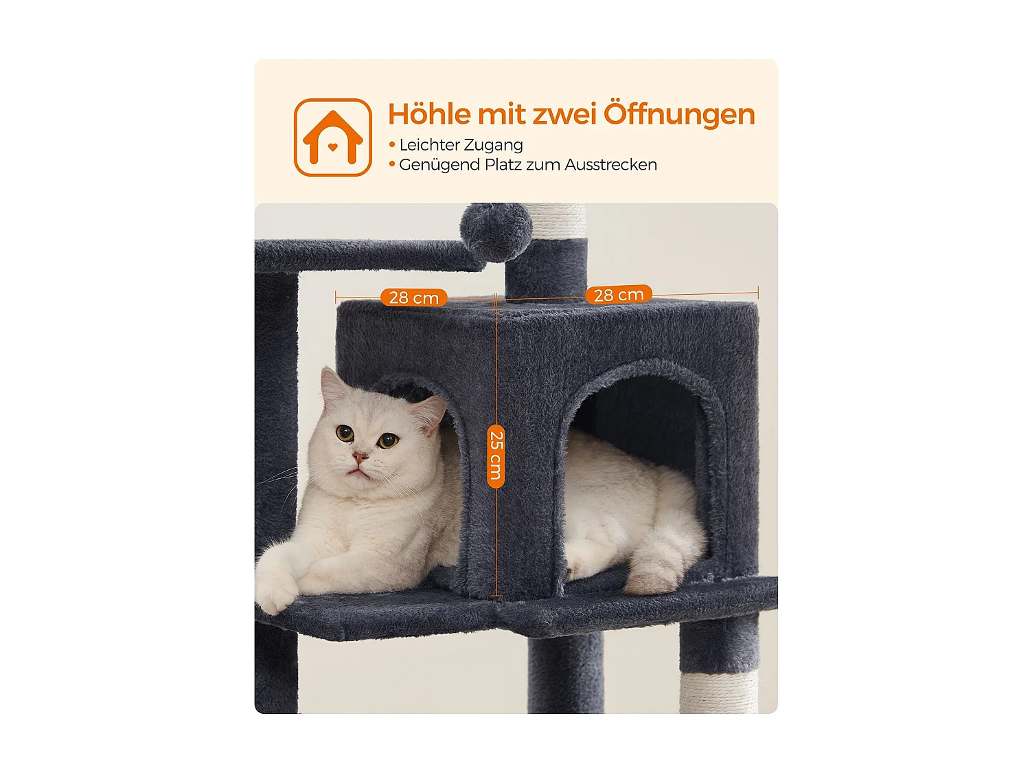 Katzenbaum Neunkirchen