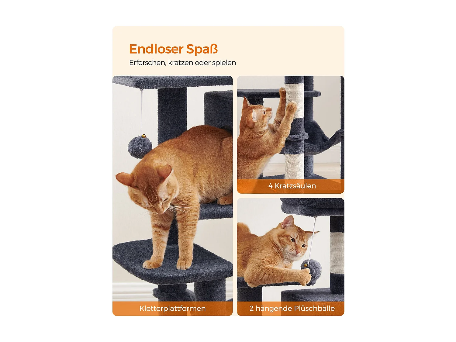 Katzenbaum Neunkirchen