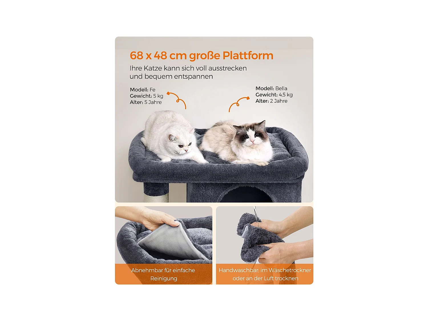 Katzenbaum Buffelshoek