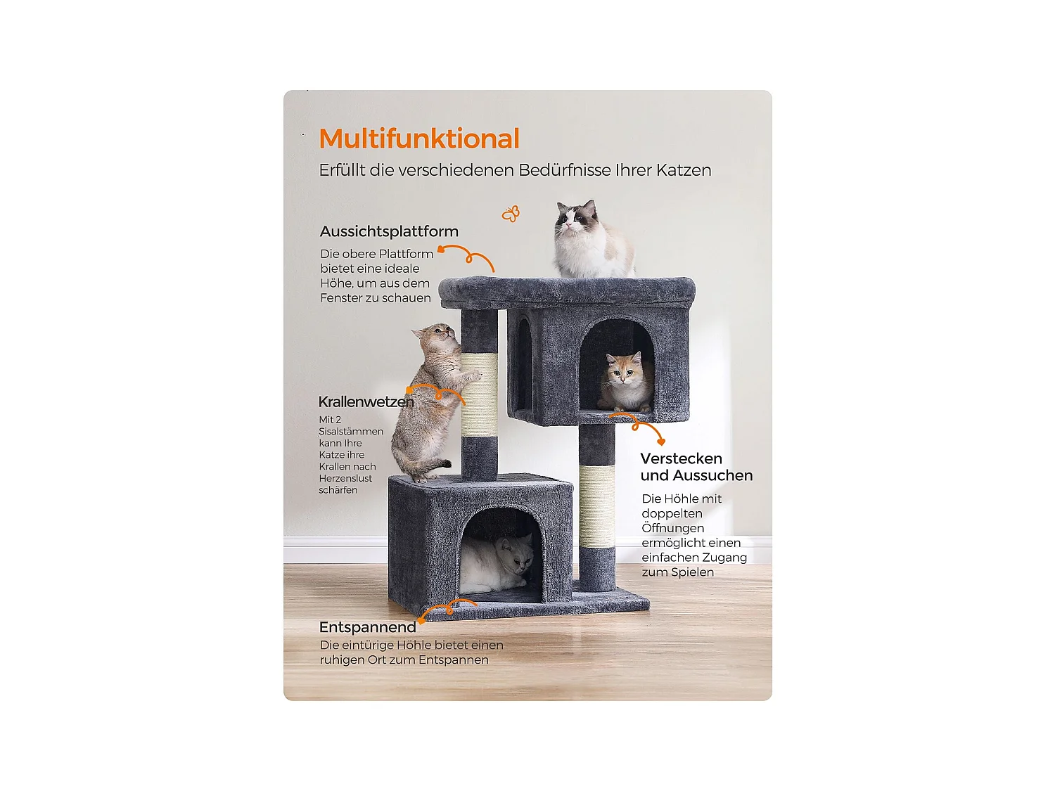 Katzenbaum Buffelshoek