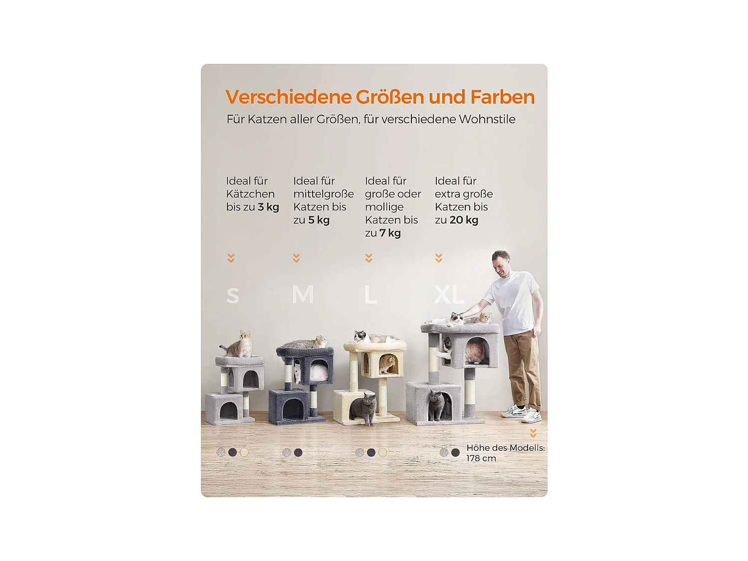 Katzenbaum Buffelshoek