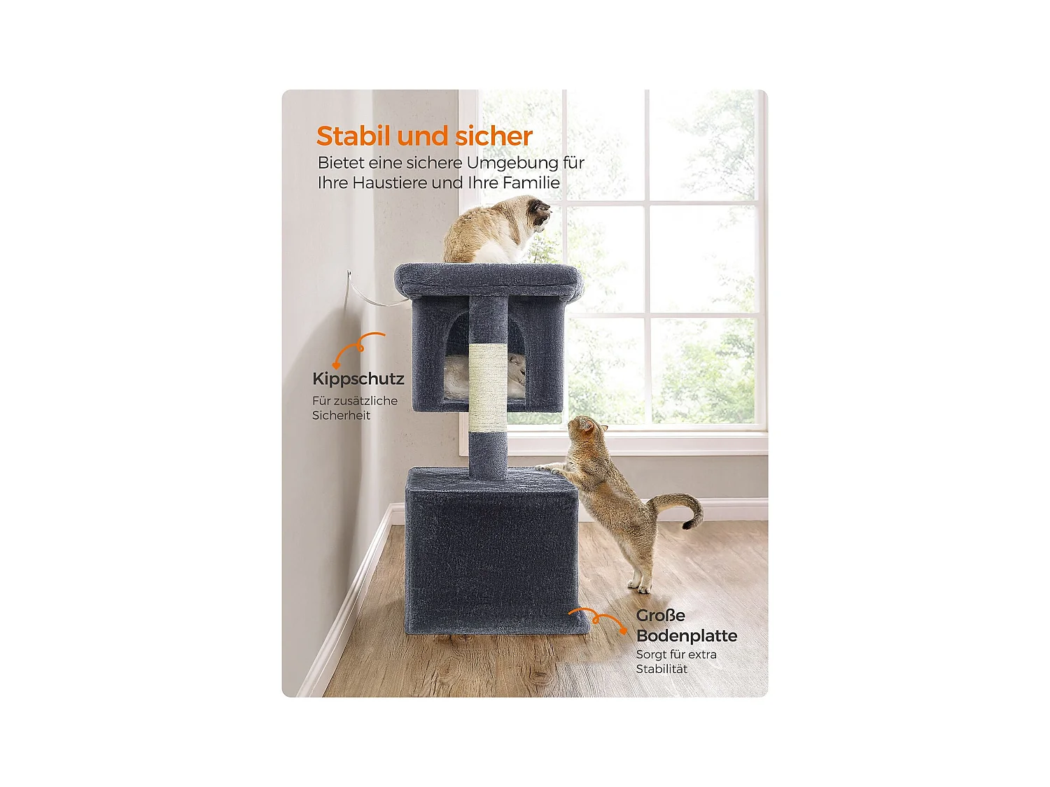 Katzenbaum Buffelshoek