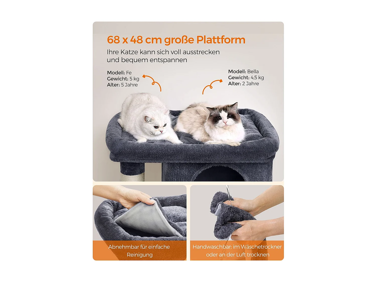 Katzenbaum Buffelshoek