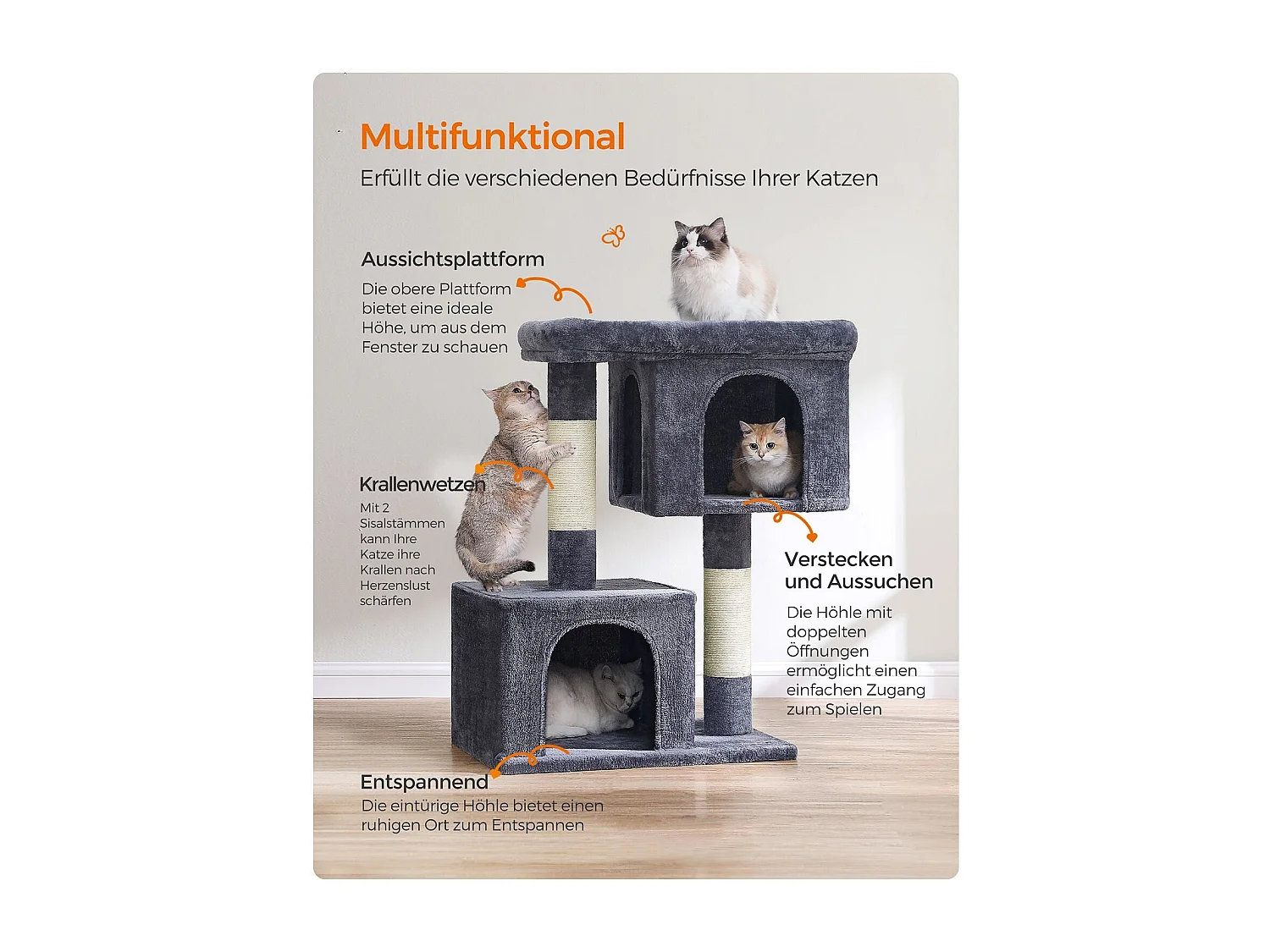 Katzenbaum Buffelshoek