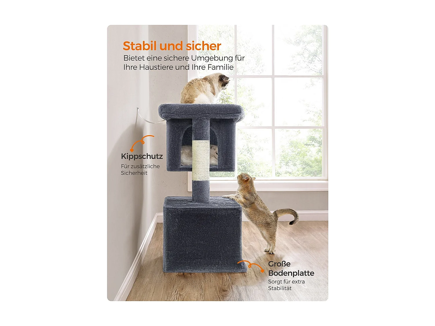 Katzenbaum Buffelshoek