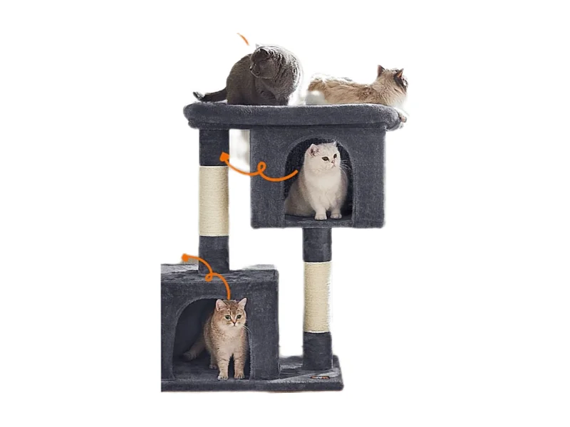 Katzenbaum Buffelshoek