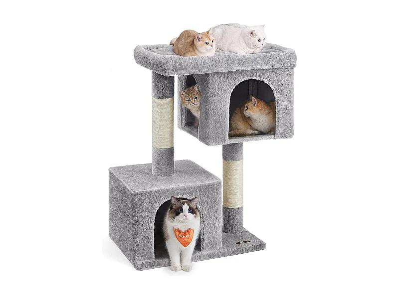 Katzenbaum Buffelshoek