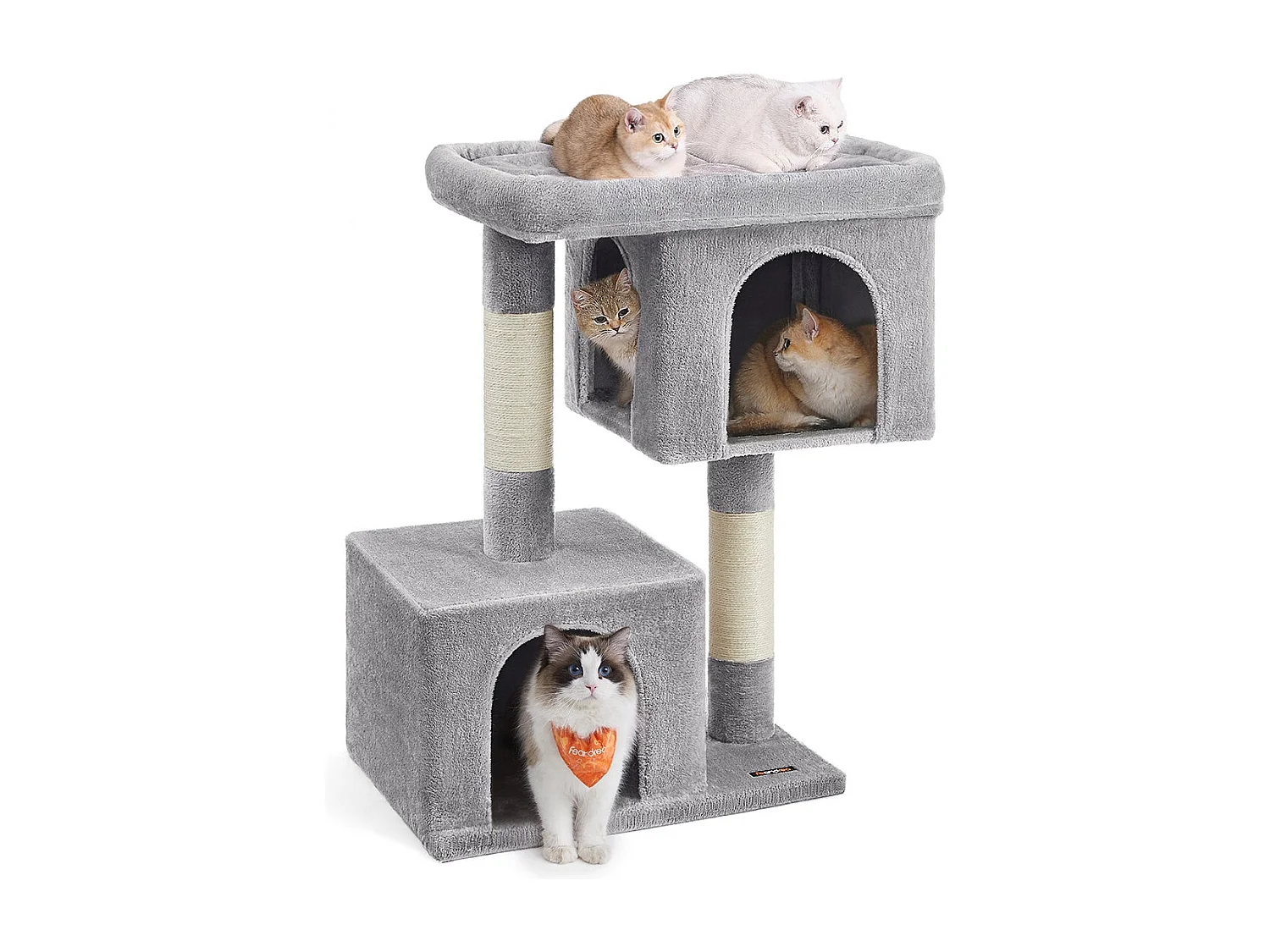 Katzenbaum Buffelshoek