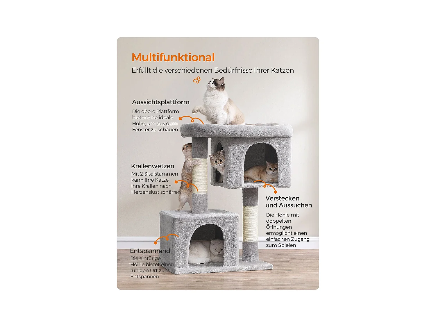 Katzenbaum Buffelshoek