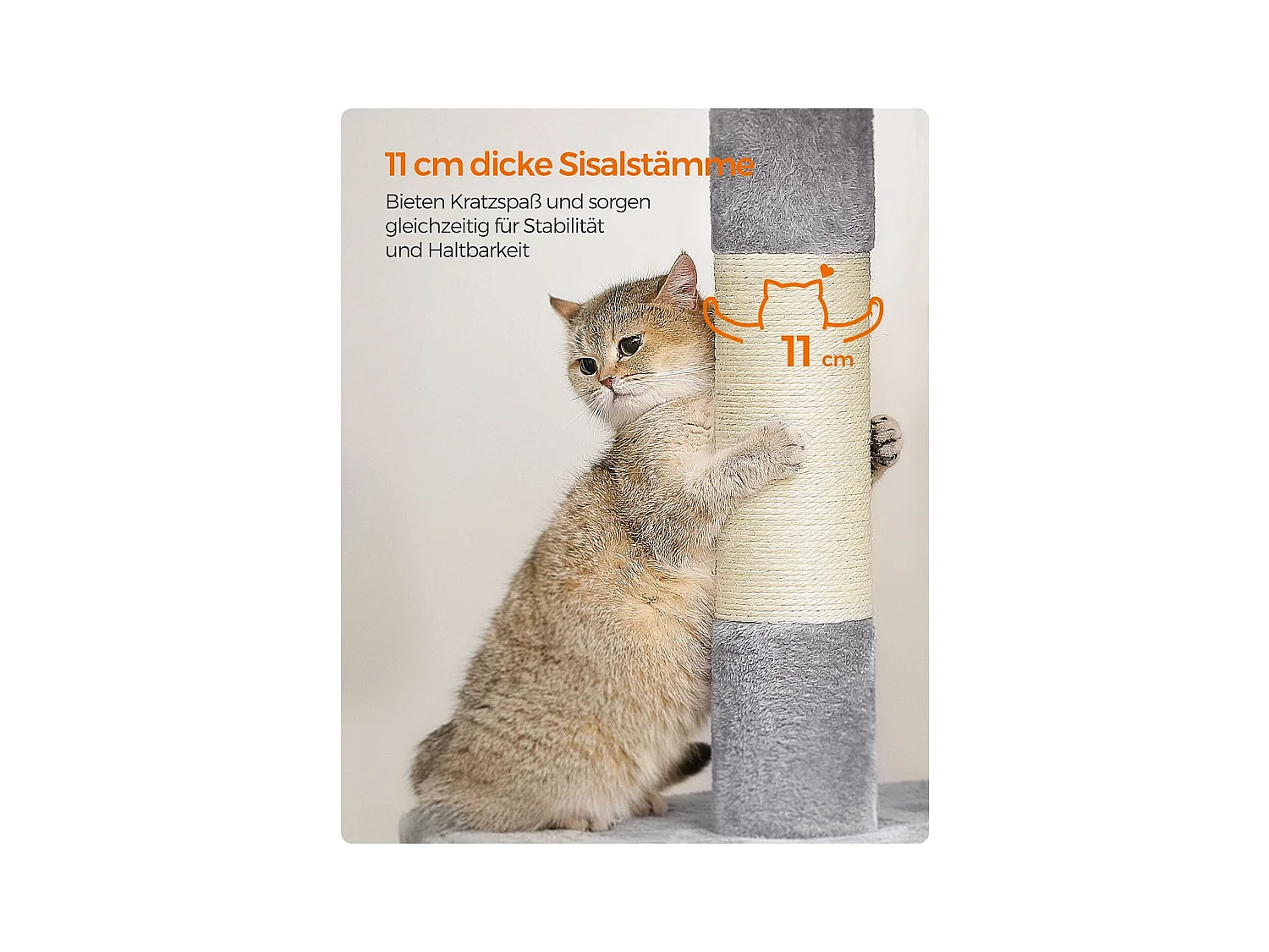 Katzenbaum Buffelshoek