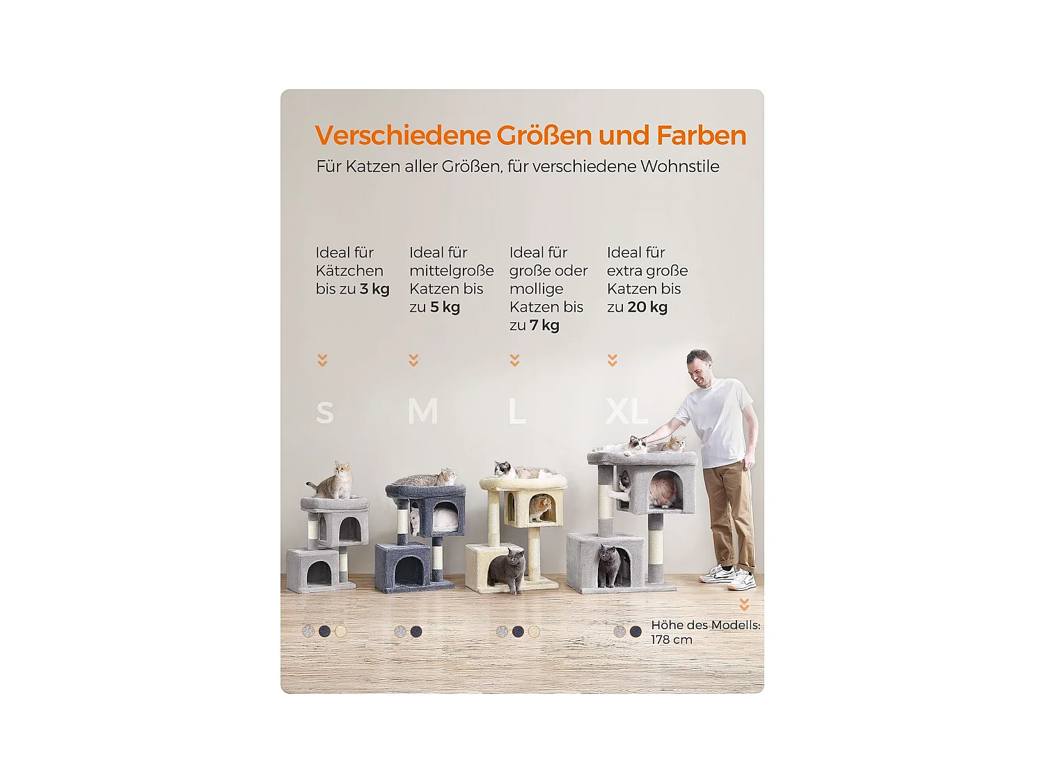 Katzenbaum Buffelshoek