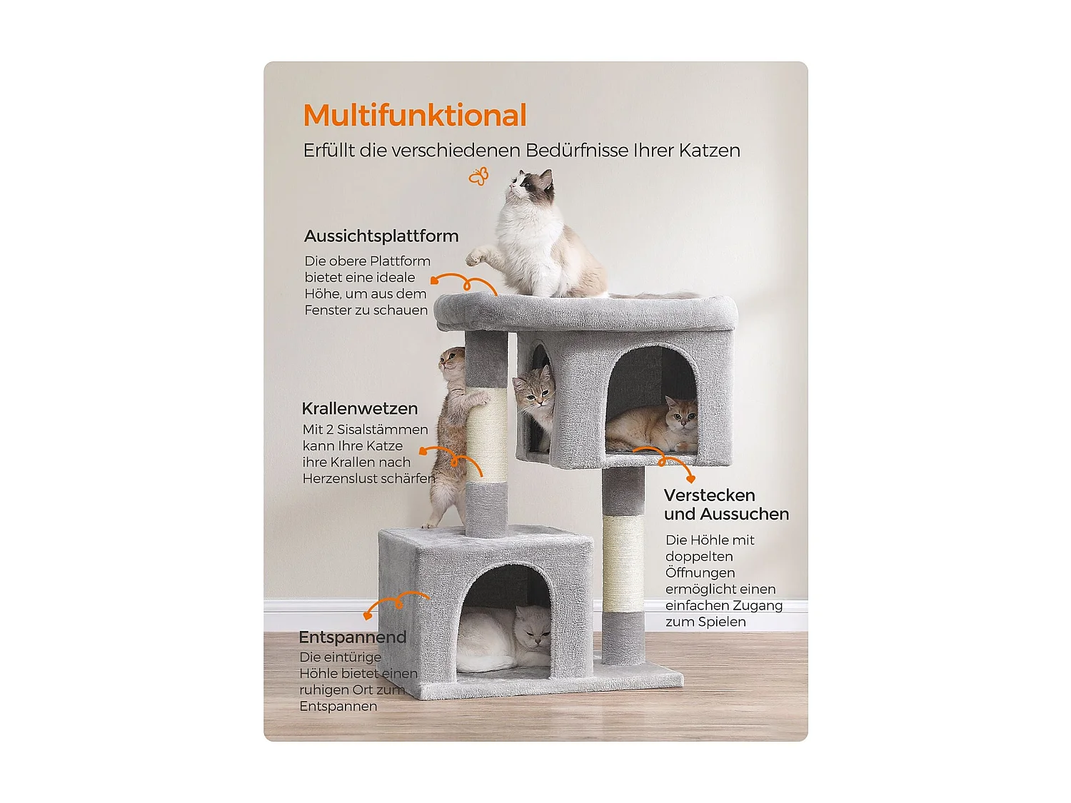 Katzenbaum Buffelshoek
