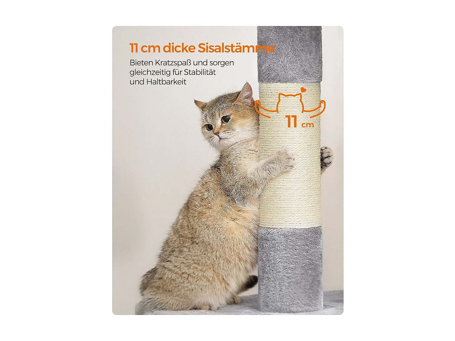 Katzenbaum Buffelshoek