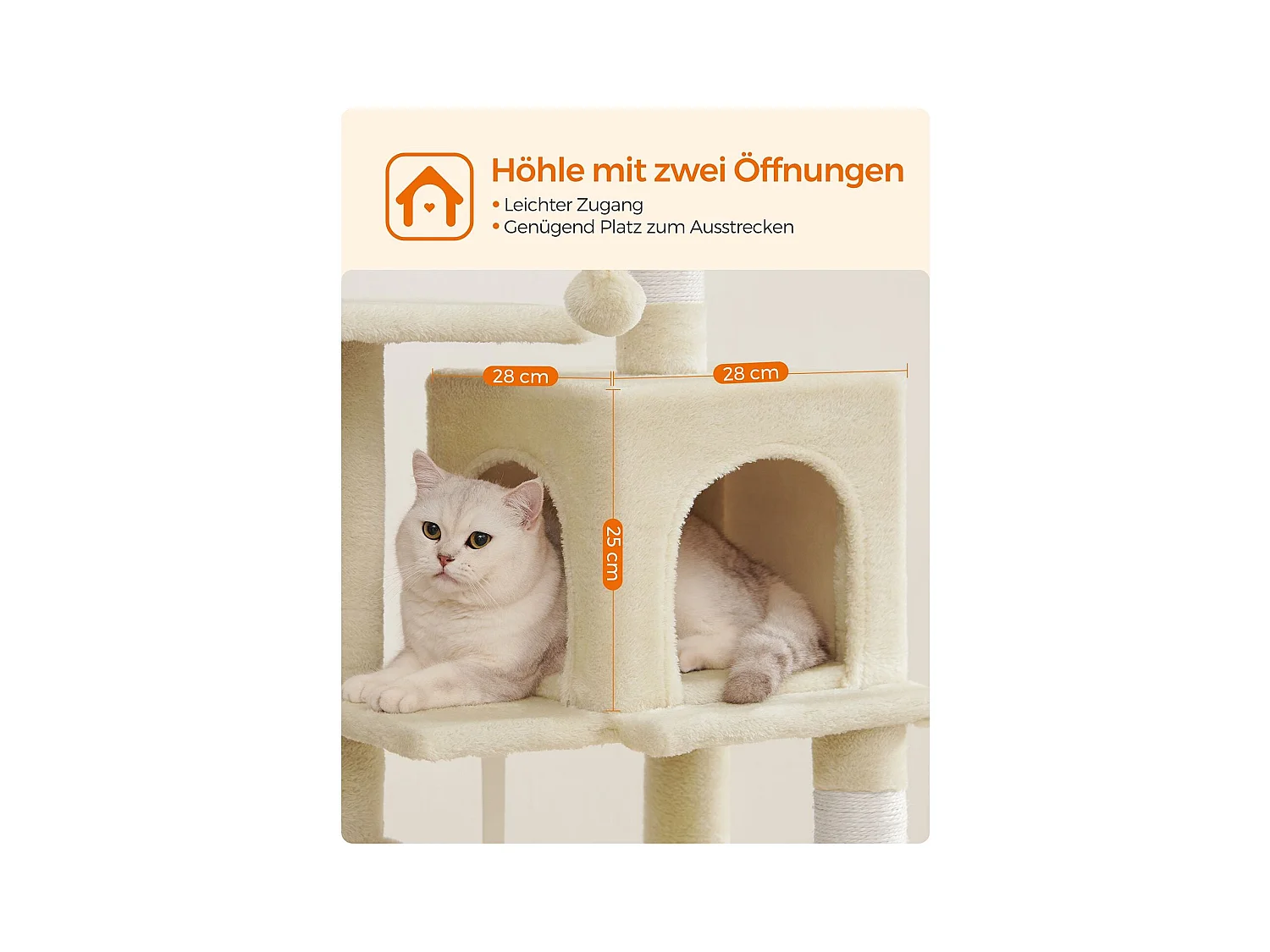 Katzenbaum Neunkirchen