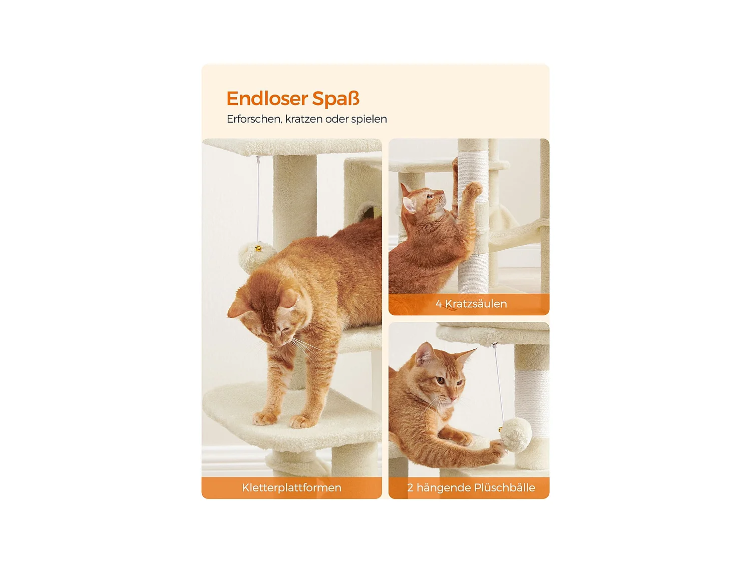 Katzenbaum Neunkirchen