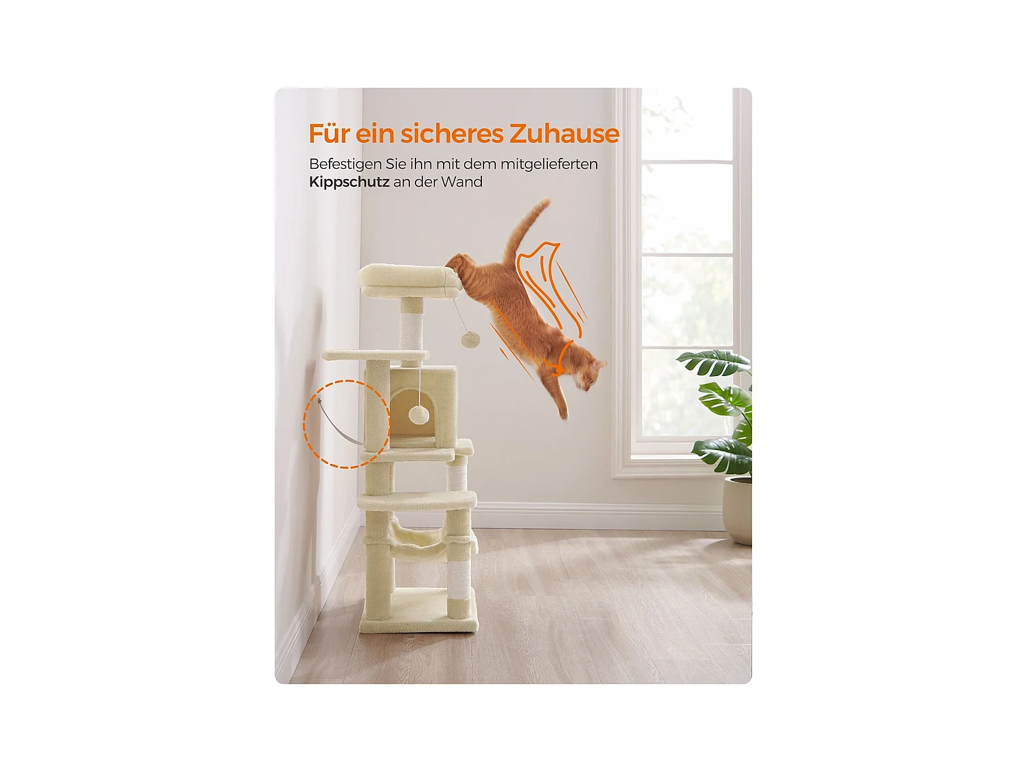 Katzenbaum Neunkirchen