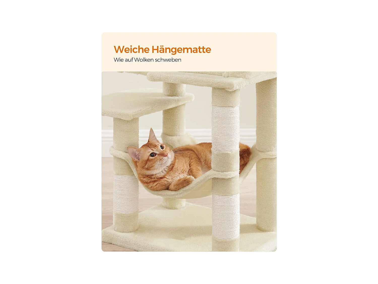 Katzenbaum Neunkirchen