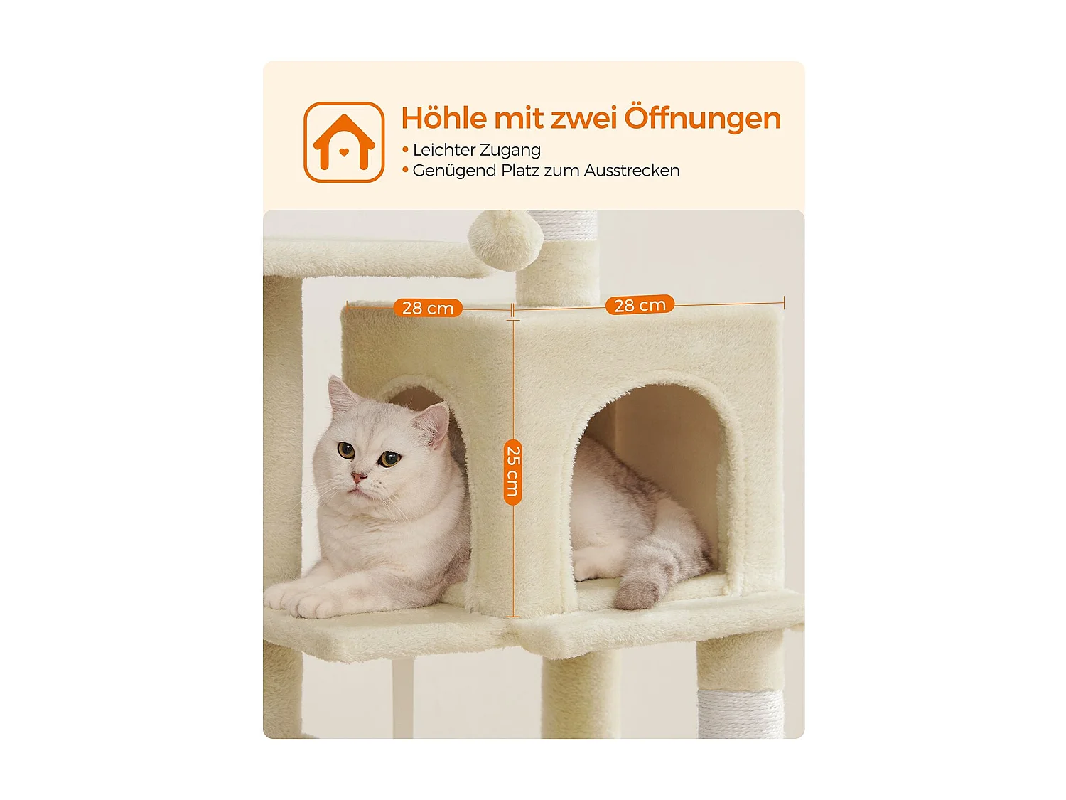 Katzenbaum Neunkirchen