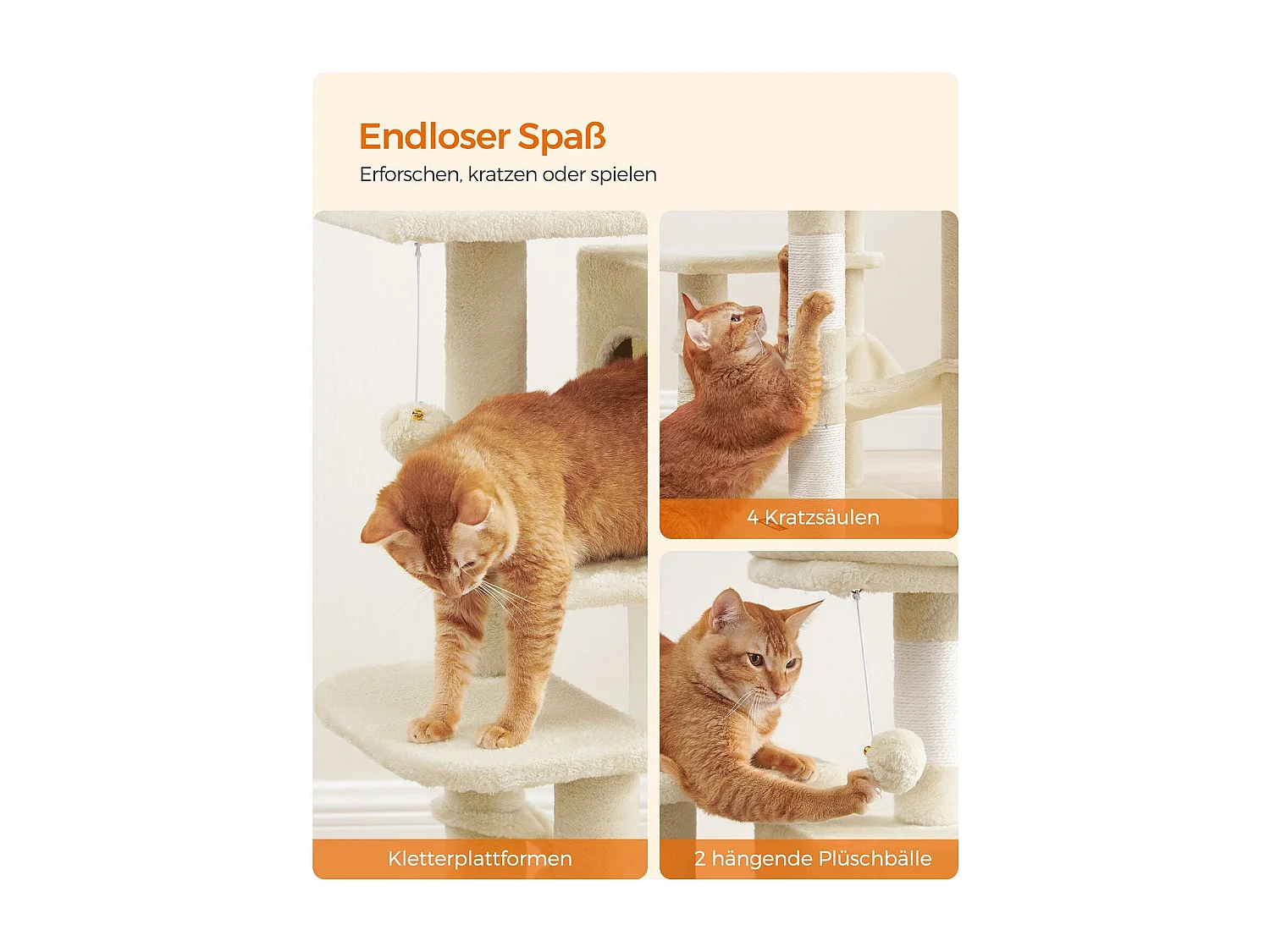 Katzenbaum Neunkirchen