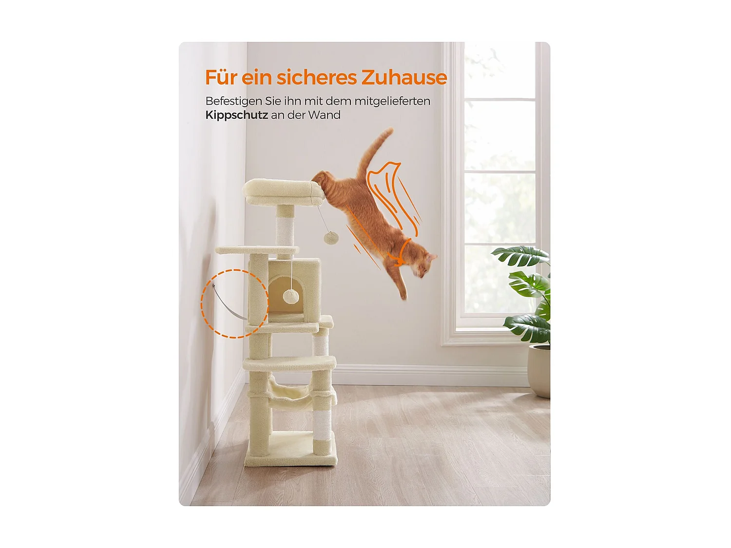 Katzenbaum Neunkirchen