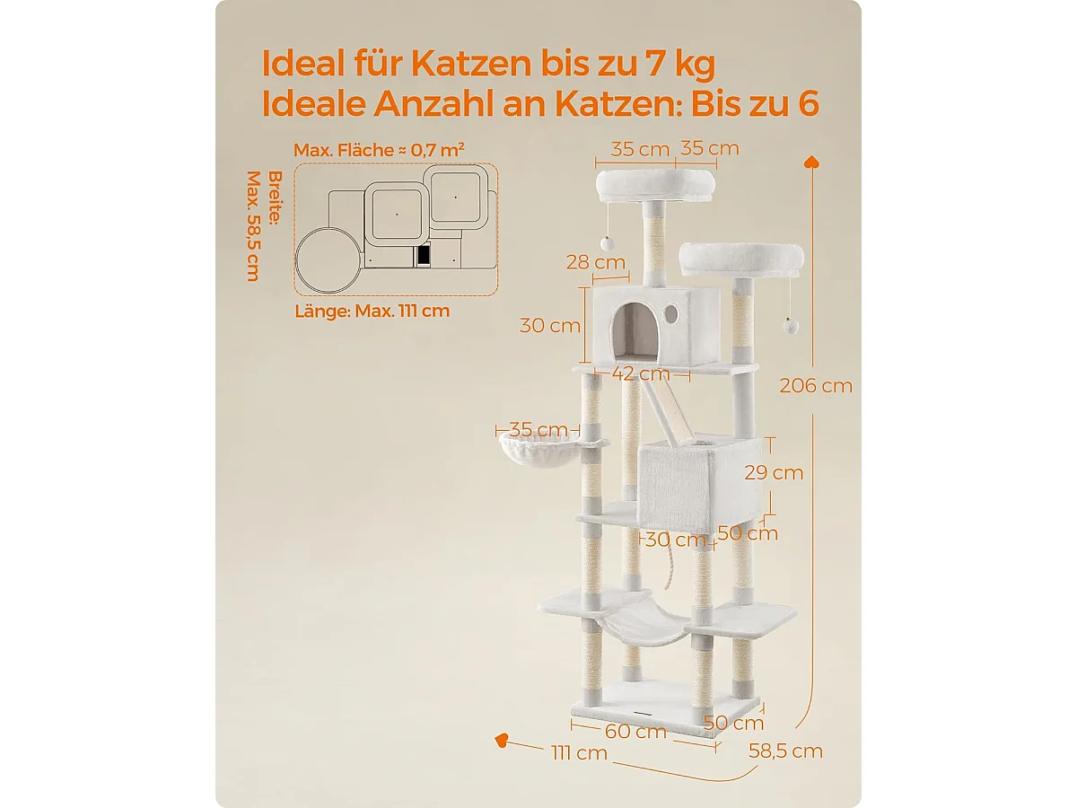 Katzenbaum Mandritsara