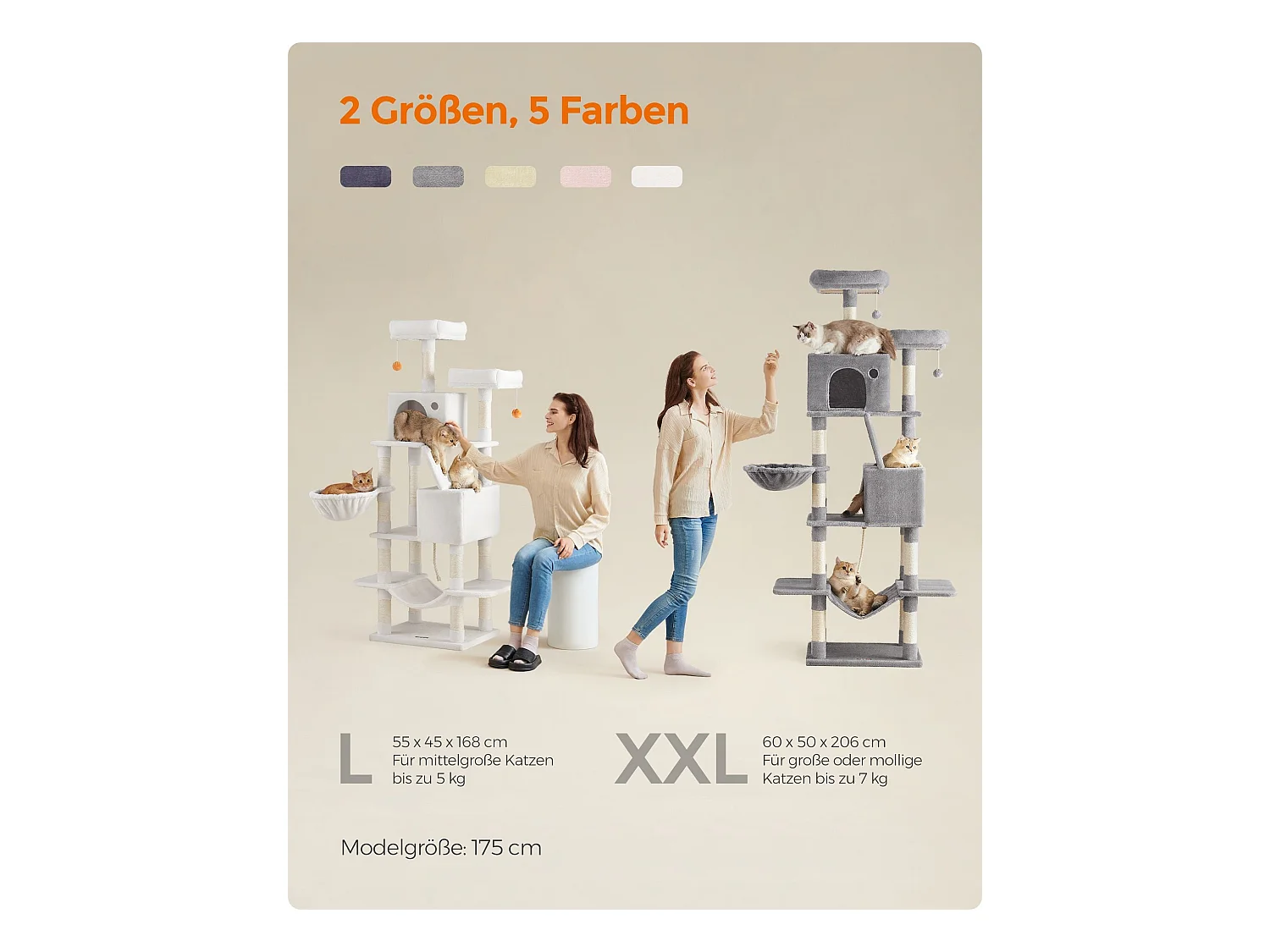 Katzenbaum Baduriatola