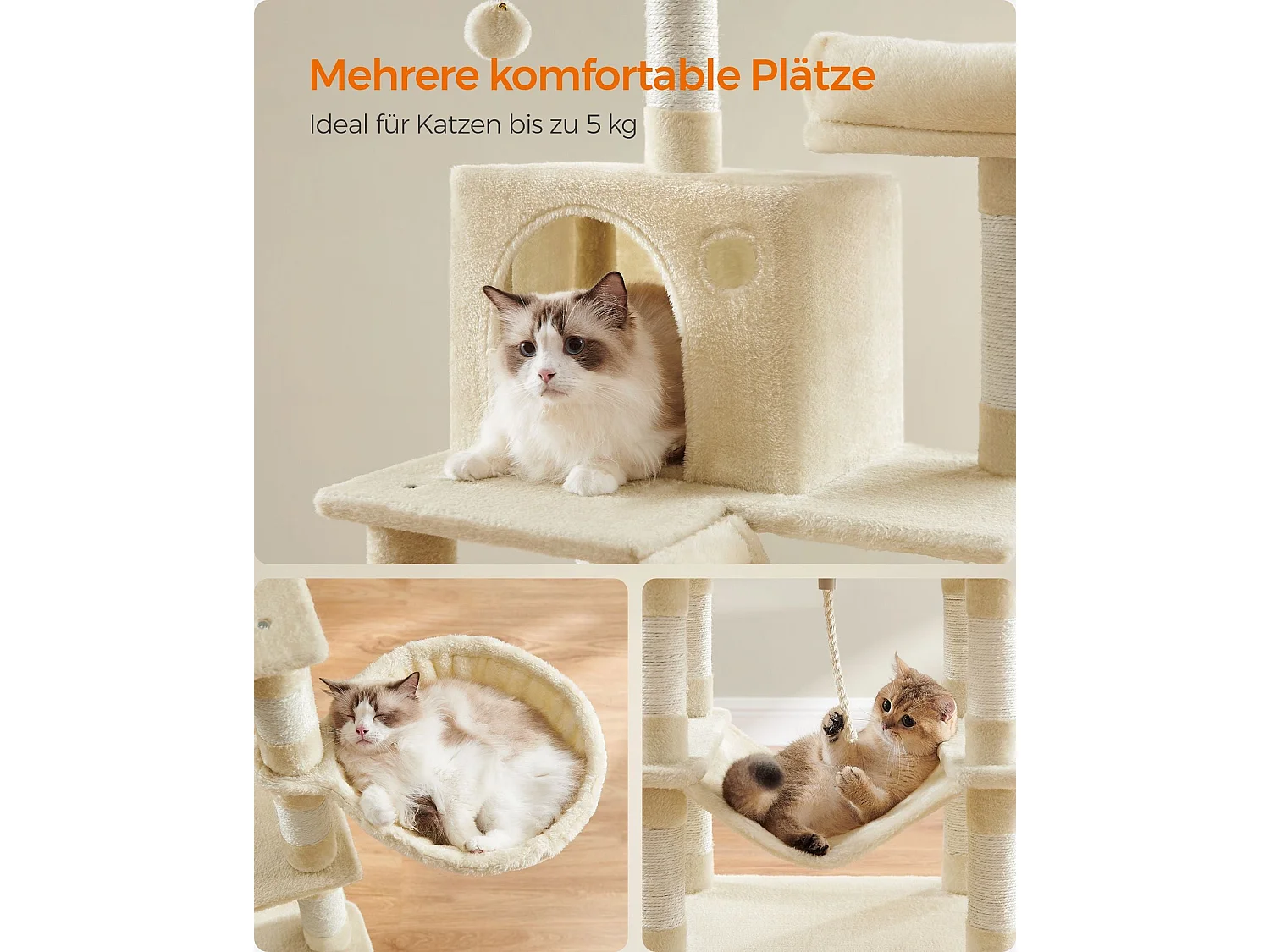 Arbre à chat Baduriatola