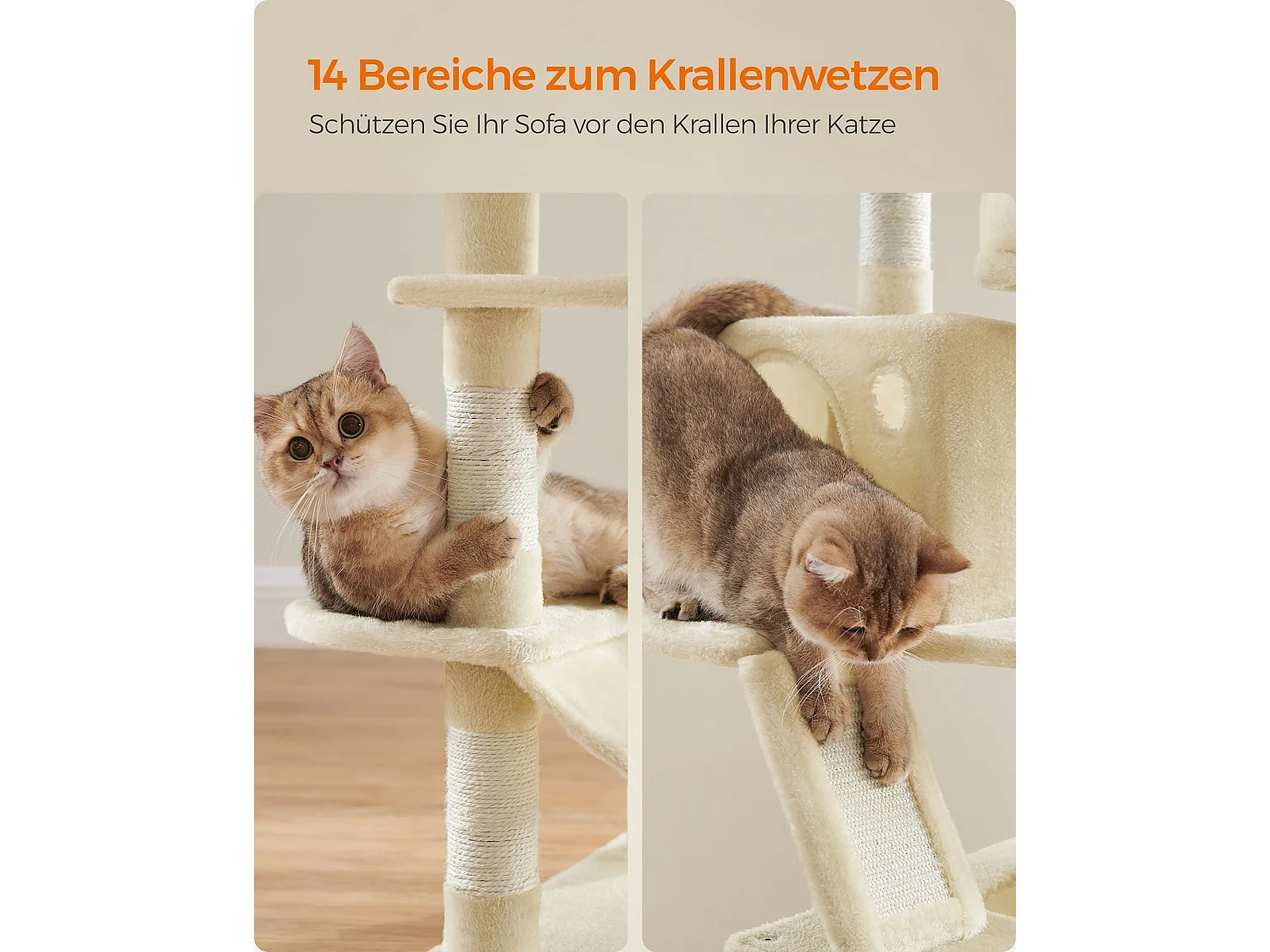 Arbre à chat Baduriatola