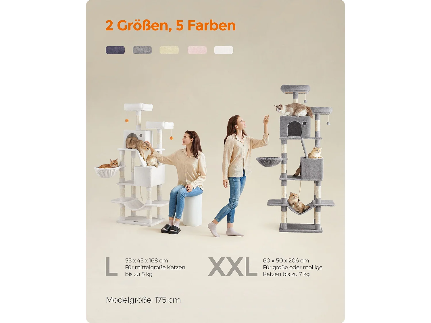 Arbre à chat Baduriatola