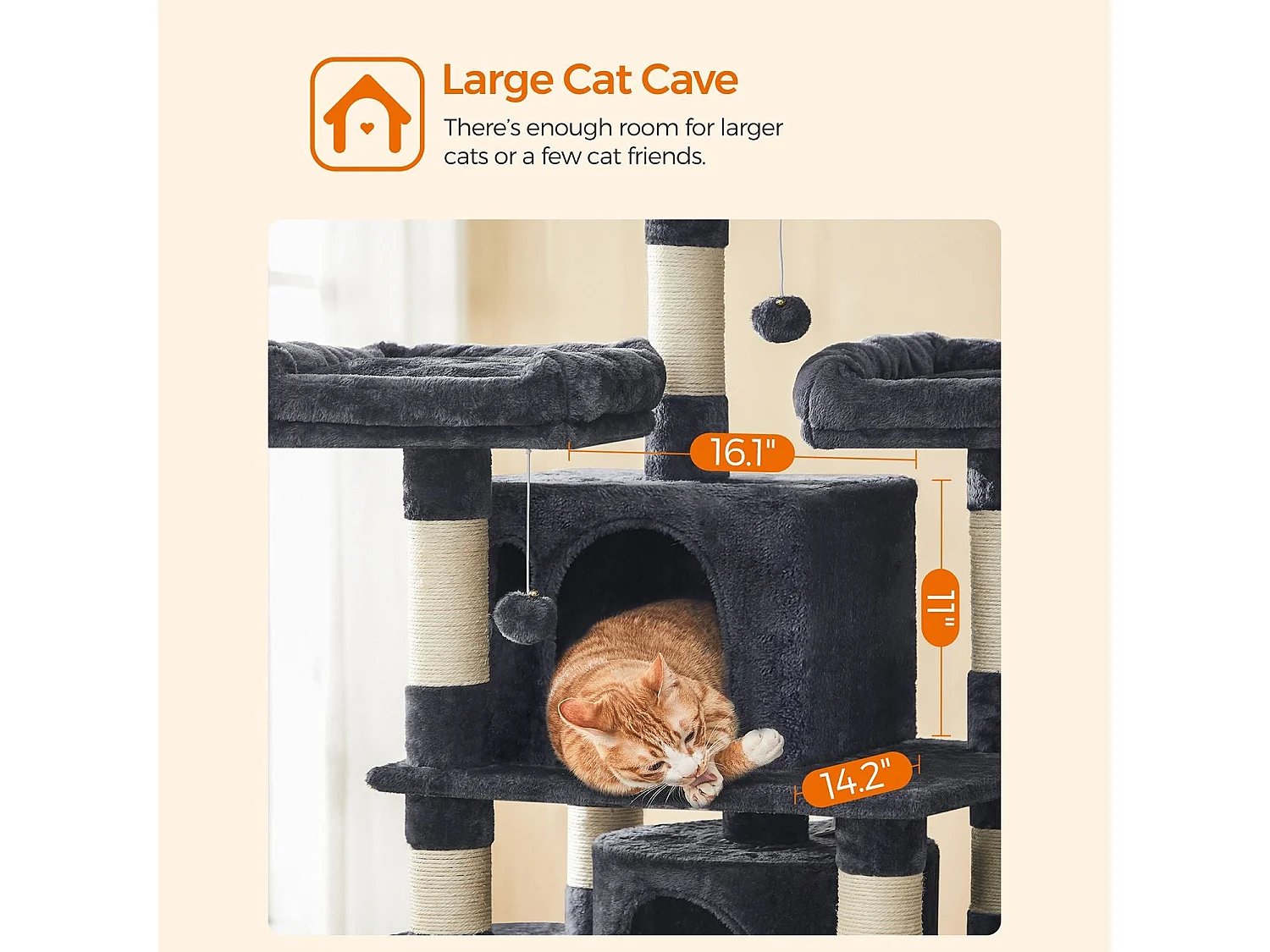 Kratzbaum Grammichele