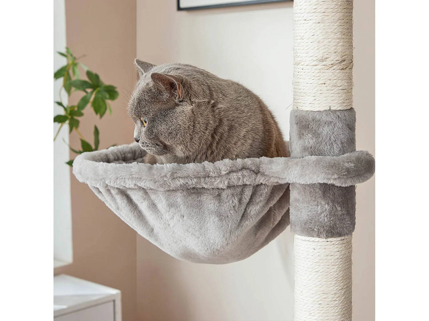 Kratzbaum Katzenbaum Kratzwerk