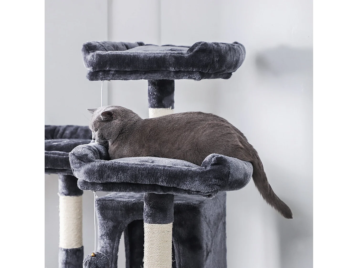 Katzenbaum Bronderslev