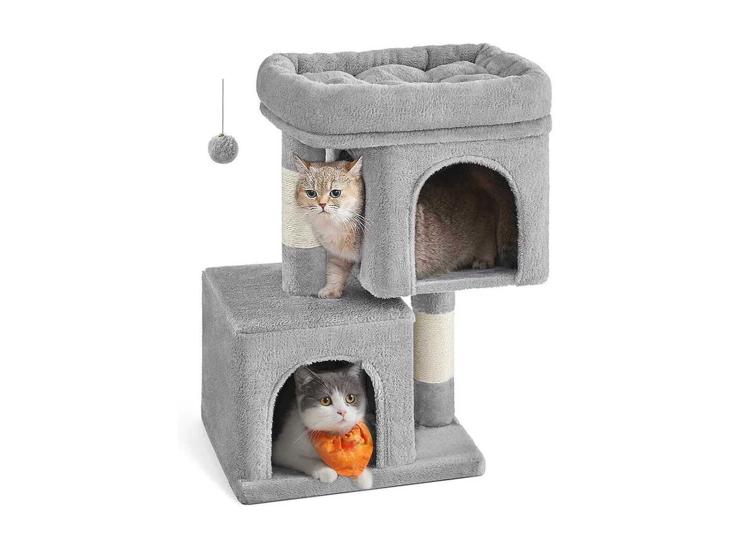 Katzenbaum Carpenedolo