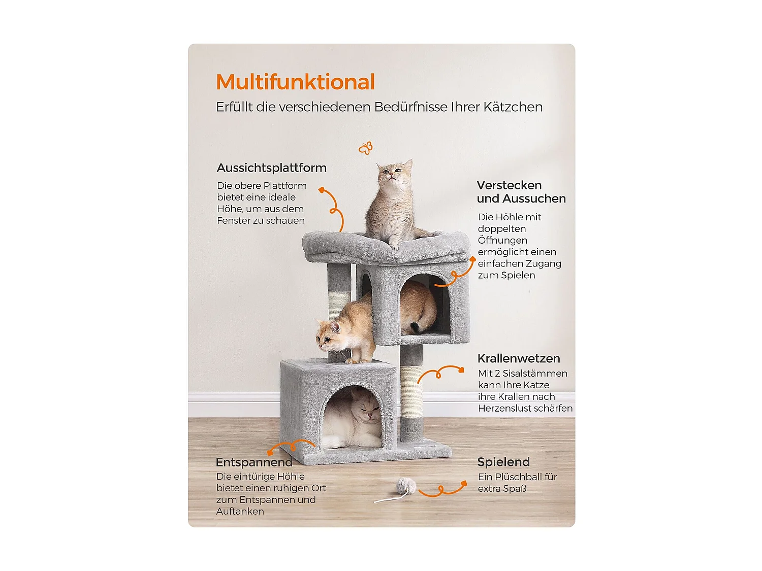 Katzenbaum Carpenedolo