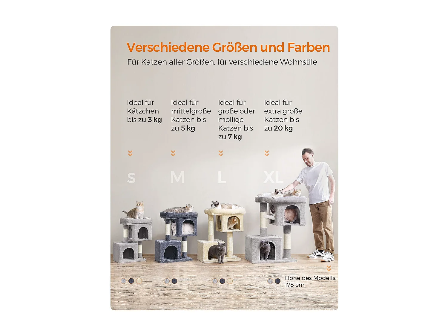 Katzenbaum Carpenedolo