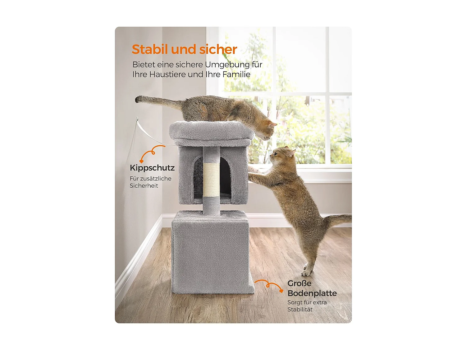 Katzenbaum Carpenedolo