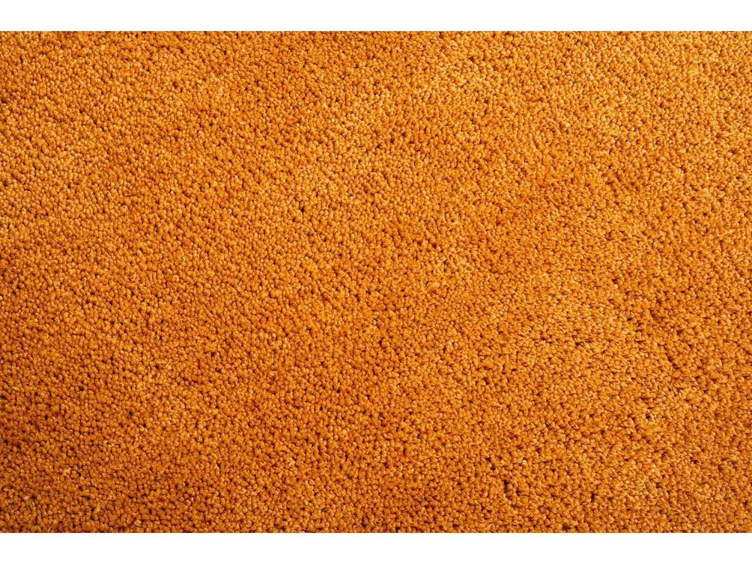 Tapis Shaggy tufté à la main 160x230 cm or Cozy