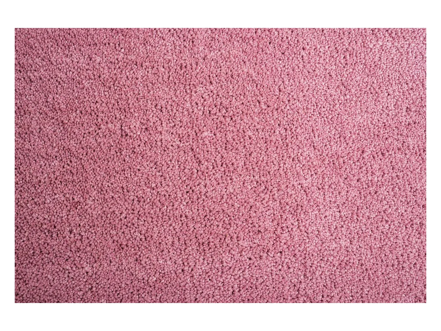Handgetufteter Shaggyteppich 65x135 cm Rose Cozy