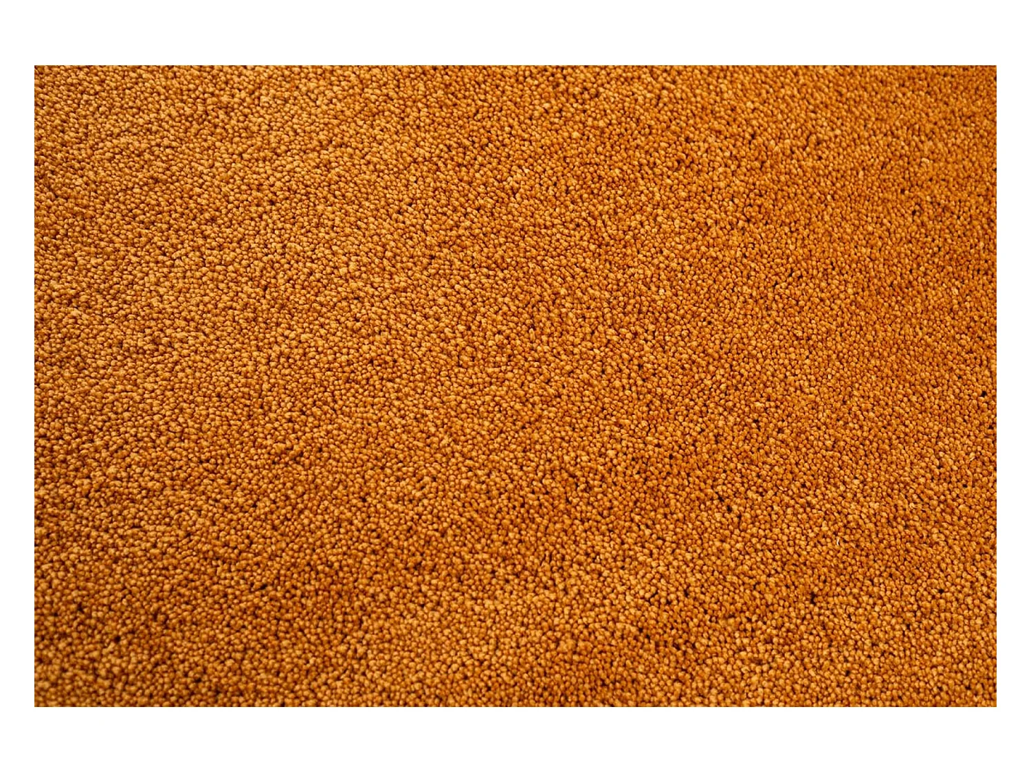 Tapis Shaggy tufté à la main 135x200 cm or Cozy