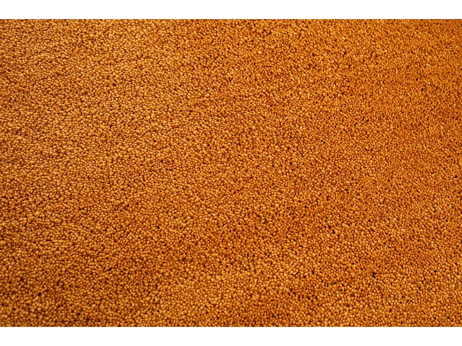 Tapis Shaggy tufté à la main 135x200 cm or Cozy