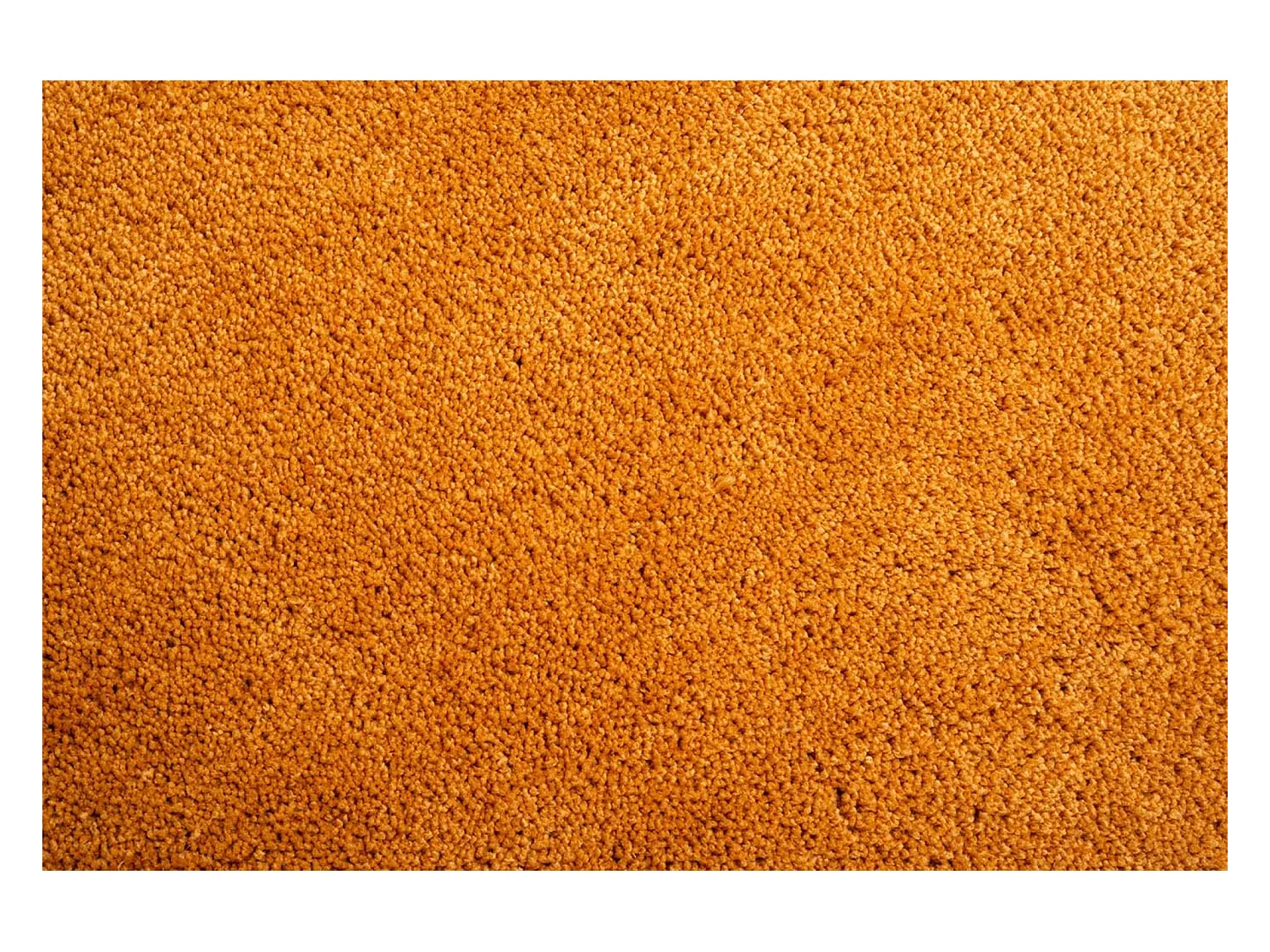 Tapis Shaggy tufté à la main 140x200 cm or Cozy
