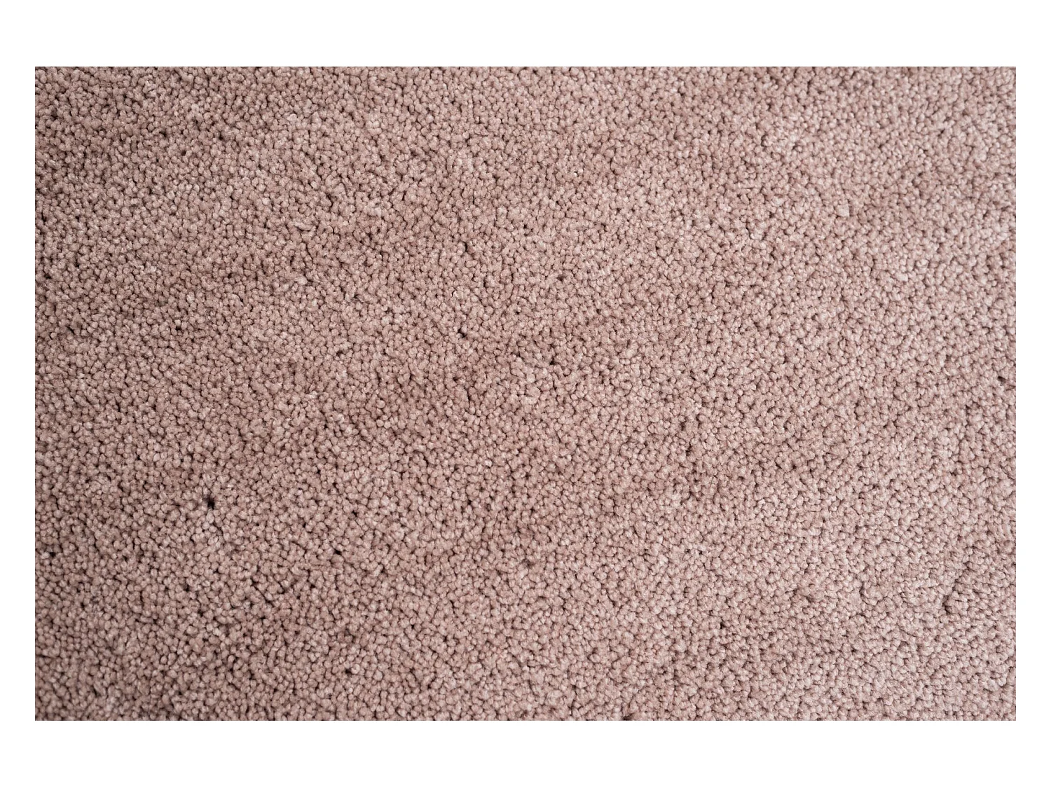 Tapis Shaggy tufté à la main 190x190 cm beige Cozy