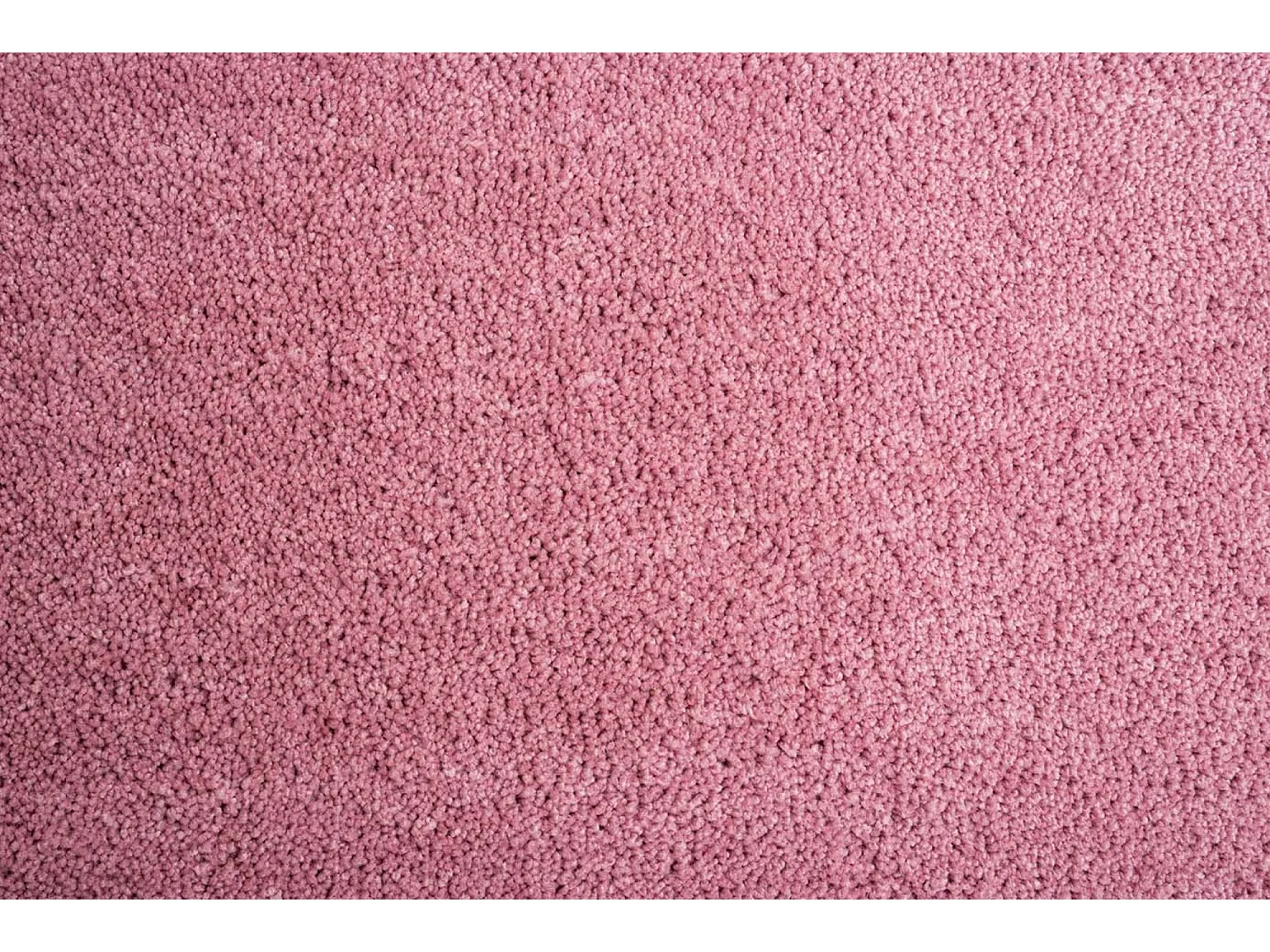 Handgetufteter Shaggyteppich 160x230 cm Rose Cozy