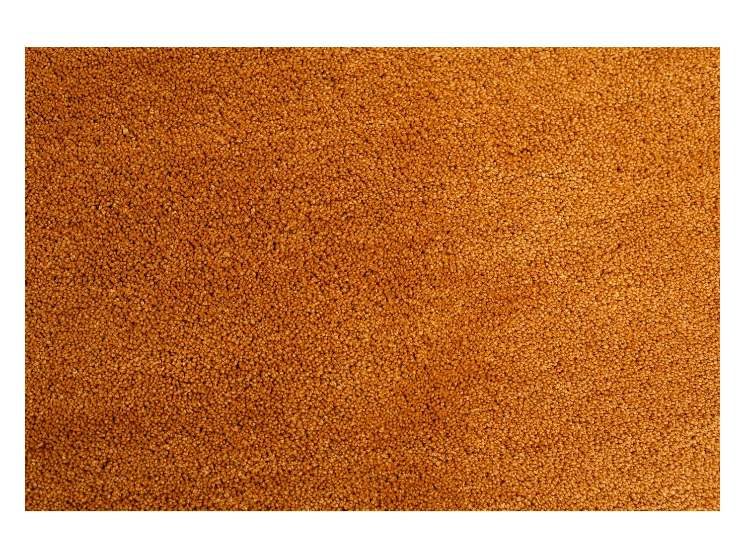 Handgetufteter Shaggyteppich 190x190 cm Gold Cozy