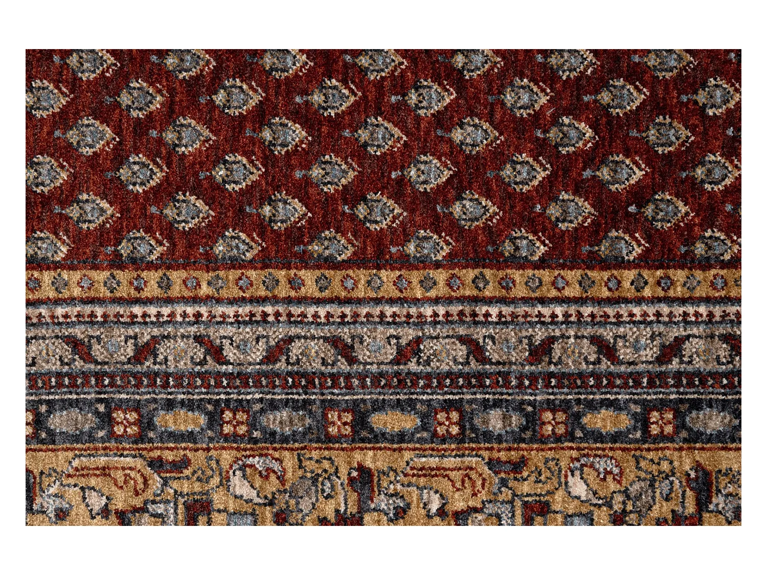 Tapis à bordure de style oriental  160x230 cm rouge multi Beatrice