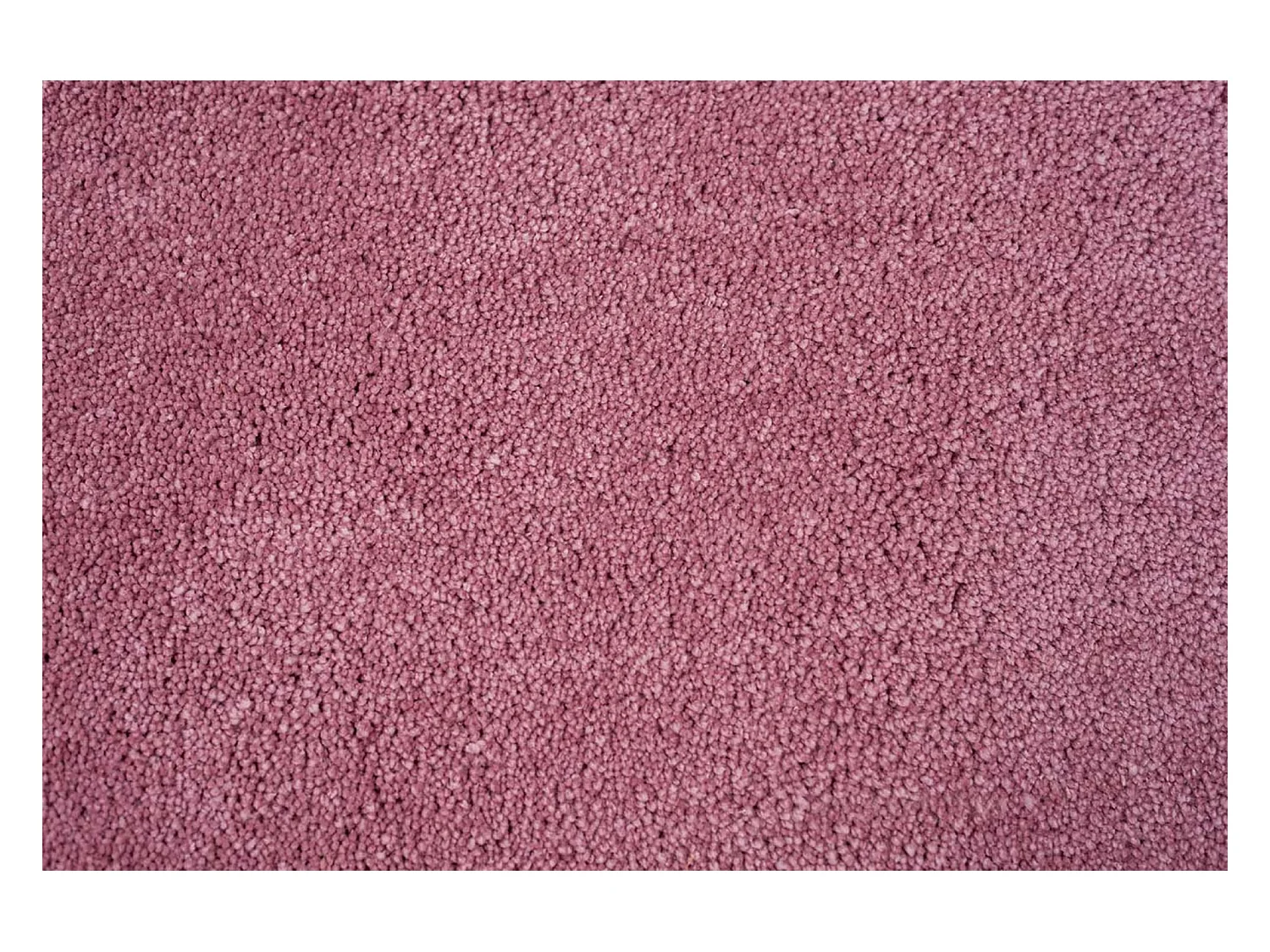 Tapis Shaggy tufté à la main 135x200 cm rose Cozy