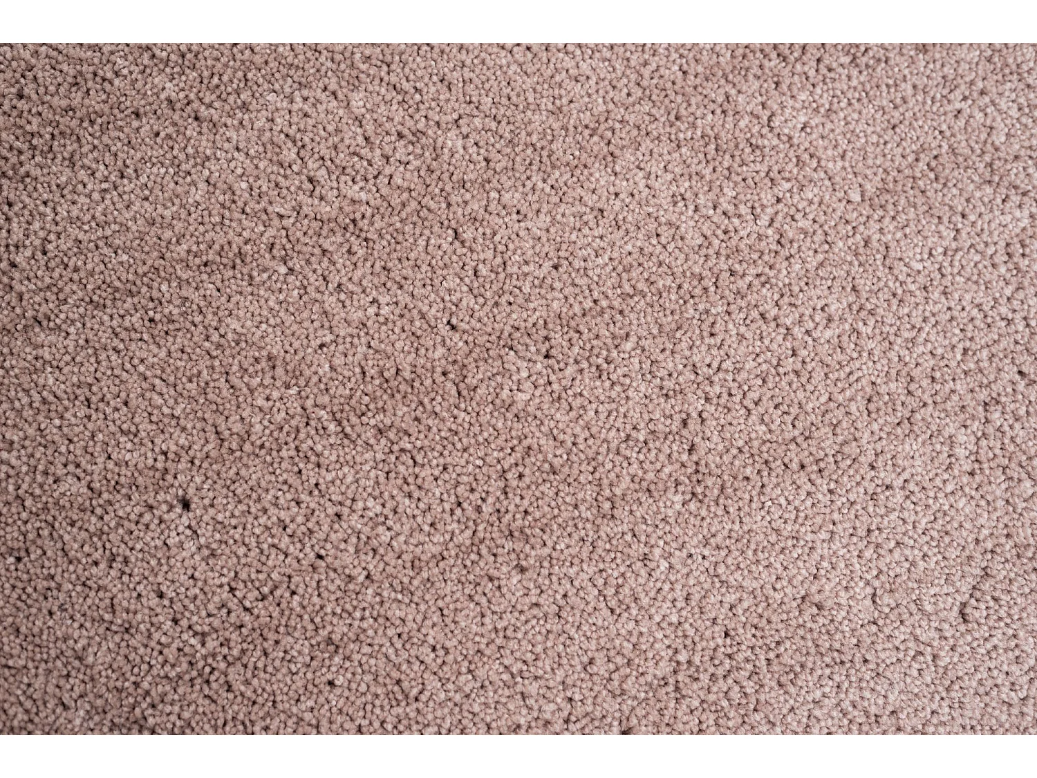 Tapis Shaggy tufté à la main 140x140 cm beige Cozy