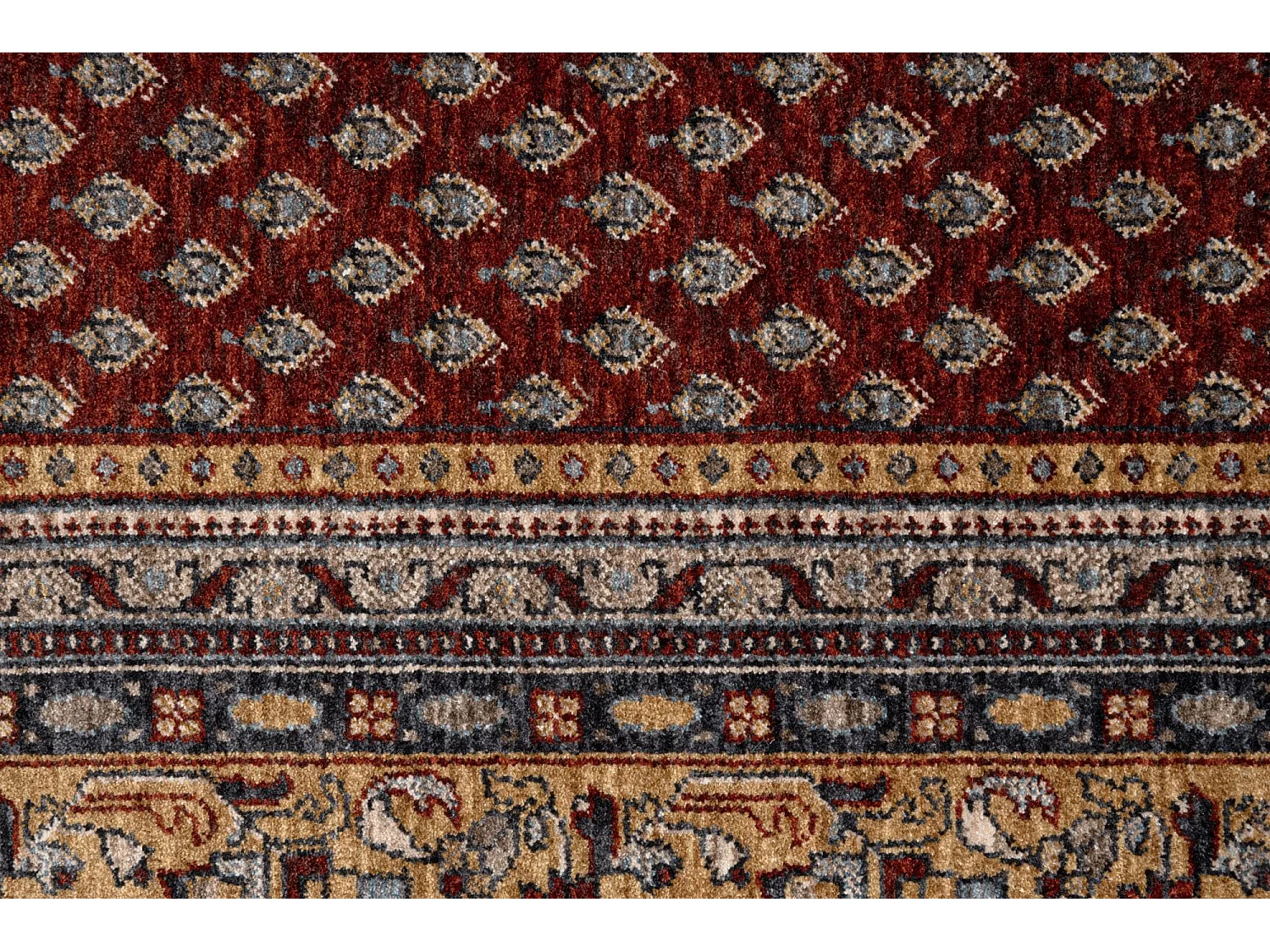 Tapis à bordure de style oriental  240x290 cm rouge multi Beatrice